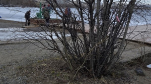 на фото участок уборки в городском парке