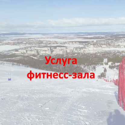 Услуга фитнесс-зала в городе Мурманске 1.